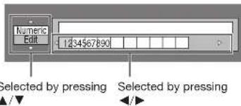 Numeric Edit 1234567890 Selected by pressing Selected by pressing