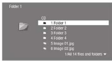 Folder 1 CD ■ 1 Folder 1 ■ 2 Folder 2 ■ 3 Folder 3 ■ 4 Folder 4 ■ 5 Image 01.jpg ■ 6 Image 02.jpg 1/All 14 flies and folders