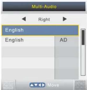 Multi-Audio Right English English AD Move