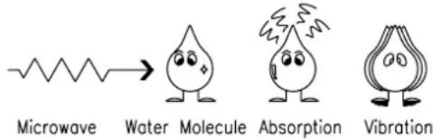 Microwave Water Molecule Absorption Vibration