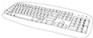 TOSHIBA NVSPRO8 - IDENTIFYING INCLUDED COMPONENTS - 3