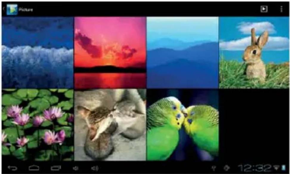 Trevi TAB 8 3G V8 - Photo browsing: - 2