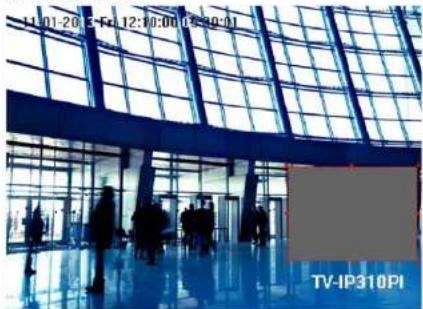 TRENDNET TV-IP450PI - Tamper-proof - 2