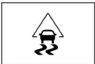 Buick Lucerne (2009) - StabiliTrak® Indicator Light - 1