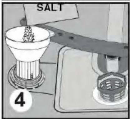 SALT 4