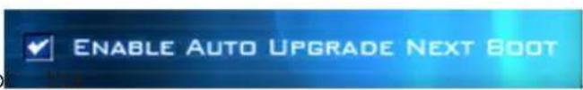 ENABLE AUTO UPGRADE NEXT BOOT