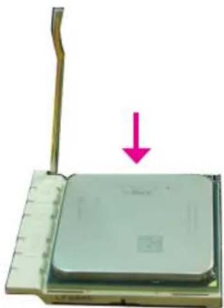 DFI BI-785G-M35 - Important: - 1