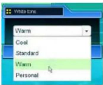 White tone Warm Cool Standard Warm Personal