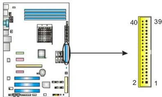 BIOSTAR TF8200 A2+ - IDE1: Hard Disk Connector - 1