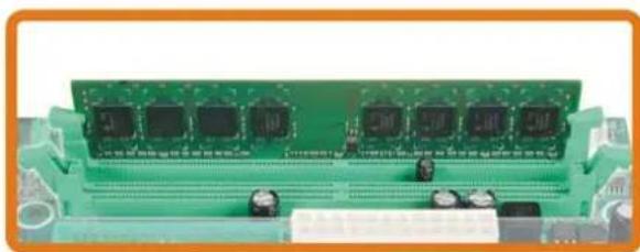 BIOSTAR TF8200 A2+ - Memory Modules - 3