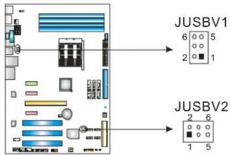 BIOSTAR TF8200 A2+ - JUSBV1/JUSBV2: Power Source Headers for USB Ports - 1