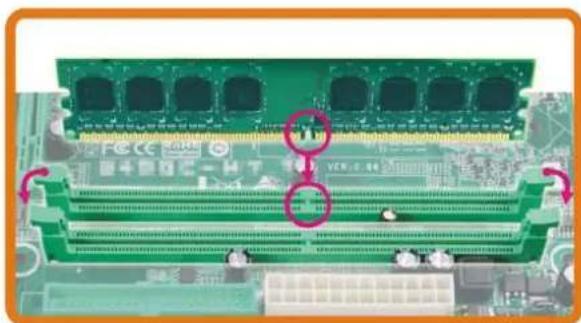 BIOSTAR TF8200 A2+ - Memory Modules - 2