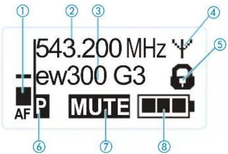 SENNHEISER EW 335 G3-A-EU - Overview of the displays of the SK 300 bodypack transmitter - 1