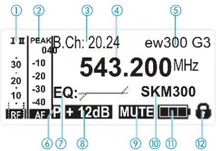 SENNHEISER EW 335 G3-A-EU - Overview of the displays of the EM 300 receiver - 1