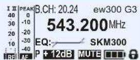SENNHEISER EW 335 G3-A-EU - Contents of the display Selectable standard display - 1