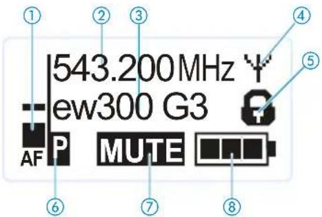 SENNHEISER EW 335 G3-A-EU - Overview of the displays of the SKM 300 radio microphone - 1