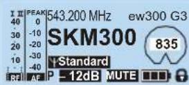 SENNHEISER EW 335 G3-A-EU - Contents of the display Selectable standard display - 2