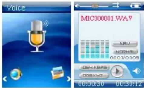 Voice MIC000001.WAV +AVU NORMAL 00:01/0:009 -OSH.KBPS -ORKHZ 00:00:30 00:30:12