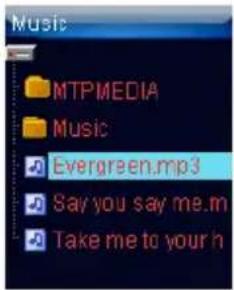 Music MTPMEDIA Music Evergreen.mp3 Say you say me.m Take me to your h