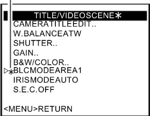 TITLE/VIDEOSCENE* CAMERATITLEEDIT.. W.BALANCEATW SHUTTER.. GAIN.. B&W/COLOR.. * *BLCMODEAREA1 IRISMODEAUTO S.E.C.OFF RETURN
