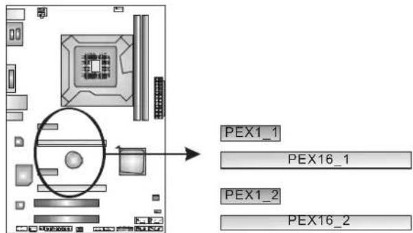 BIOSTAR TH61A - PEX1\_1/PEX1\_2: PCI-Express Gen2 x1 Slots - 1