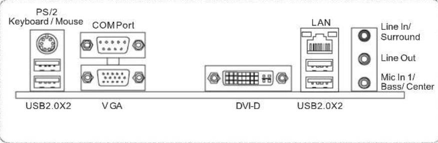 BIOSTAR TH61A - REAR PANEL CONNECTORS - 1