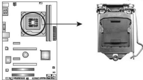 BIOSTAR TH61A - INSTALLING CENTRAL PROCESSING UNIT (CPU) - 1