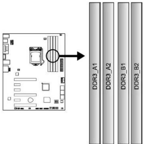 BIOSTAR Hi-Fi Z87X 3D - Install System Memory - 1
