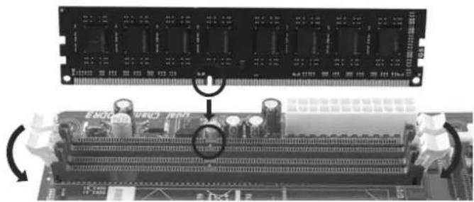BIOSTAR Hi-Fi Z87X 3D - Install System Memory - 2