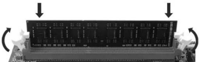 BIOSTAR Hi-Fi Z87X 3D - Install System Memory - 3
