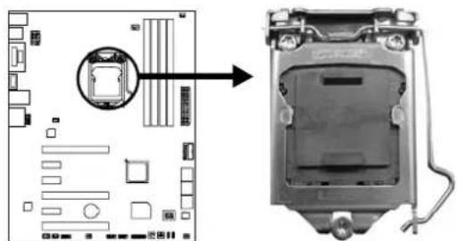 BIOSTAR Hi-Fi Z87X 3D - Install Central Processing Unit (CPU) - 1