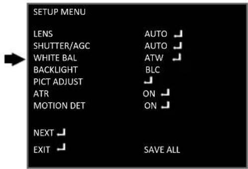 SETUP MENU LENS AUTO ✓ SHUTTER/AGC AUTO ✓ WHITE BAL ATW ✓ BACKLIGHT BLC PICT ADJUST ✓ ATR ON ✓ MOTION DET ON ✓ NEXT ✓ EXIT ✓ SAVE ALL