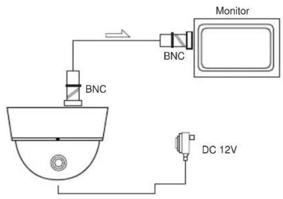 Monitor BNC BNC DC 12V