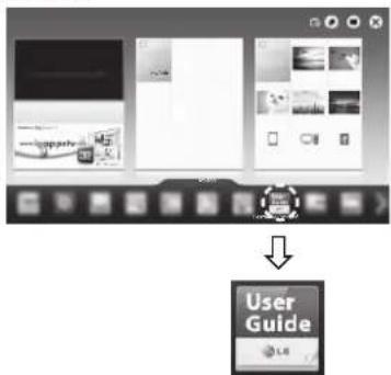 User Guide L6