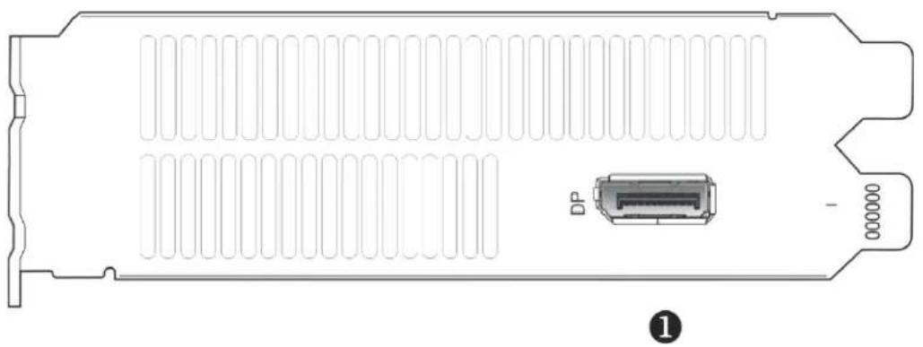 Diagram of a computer RAM module showing internal slots, a DP connector, and external ports (no text or labels)