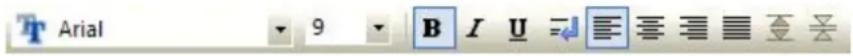 Teklynx Labelview 10 Basic - Text formatting toolbar - 1