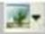 Teklynx Labelview 10 Basic - Design toolbar - 3