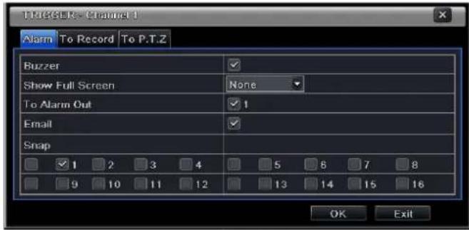 Trigger - Channel 1 Alarm To Record To P.T.Z Buzzer Show Full Screen None To Alarm Out 1 Email Snap 1 2 3 4 5 6 7 8 9 10 11 12 13 14 15 16 OK Exit
