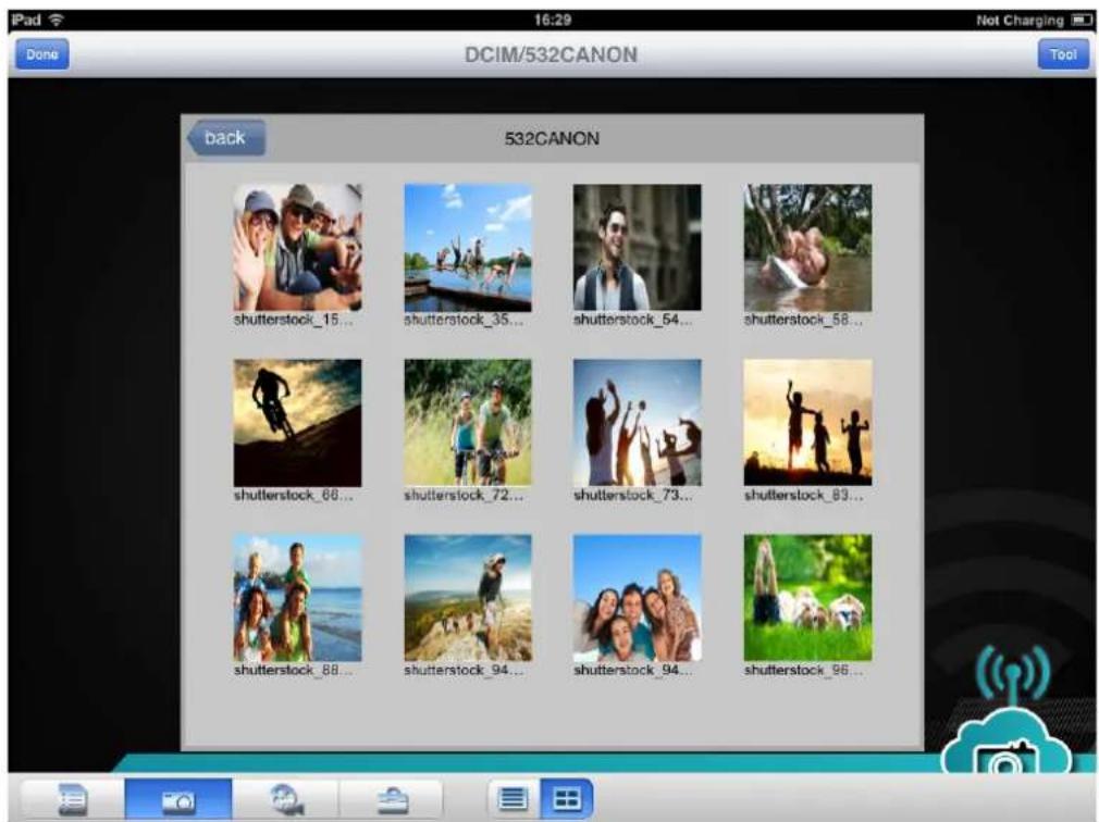 DCIM/532CANON Tool Done back 532CANON shutterstock_15... shutterstock_35... shutterstock_54... shutterstock_58... shutterstock_66... shutterstock_72... shutterstock_73... shutterstock_83... shutterstock_88... shutterstock_94... shutterstock_94... shutterstock_96...