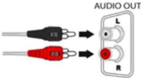 AUDIO OUT L R