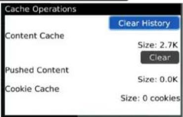 Cache Operations Clear History Content Cache Size: 2.7K Clear Pushed Content Size: 0.0K Cookie Cache Size: 0 cookies