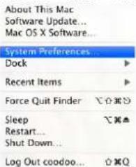 About This Mac Software Update... Mac OS X Software... System Preferences... Dock Recent Items Force Quit Finder Sleep Restart... Shut Down... Log Out coodoo...