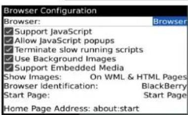 Browser Configuration Browser: Browser ✓ Support JavaScript ✓ Allow JavaScript popups ✓ Terminate slow running scripts ✓ Use Background Images ✓ Support Embedded Media Show Images: On WML & HTML Pages Browser identification: BlackBerry Start Page: Start Page Home Page Address: about:start