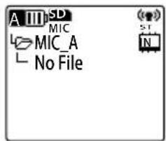 A III SD MIC MIC_A No File