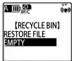 SANYO Xacti ICR-EH800D - Emptying the RECYCLE folder - 2