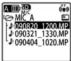 A III SD MIC MIC A 090820_1200.MP 090321_1330.MP 090404_1020.MP