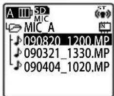 A III SD MIC MIC A 090820_1200.MP 090321_1330.MP 090404_1020.MP