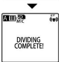 A 113 SD MIC ST DIVIDING COMPLETE!