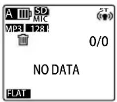 A III SD MIC MP3 128 0/0 NO DATA FLAT