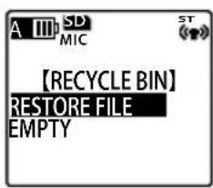 SANYO Xacti ICR-EH800D - Recovering a file from the RECYCLE folder - 4